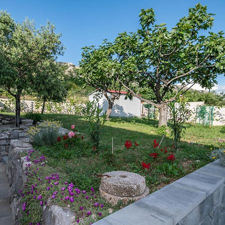 Villa Carmen Draga Bascanska Экстерьер фото