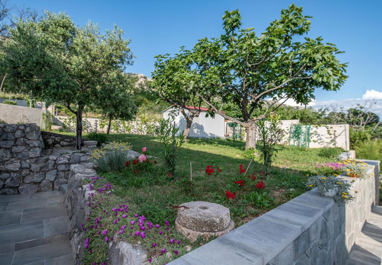 Villa Carmen Draga Bascanska Экстерьер фото